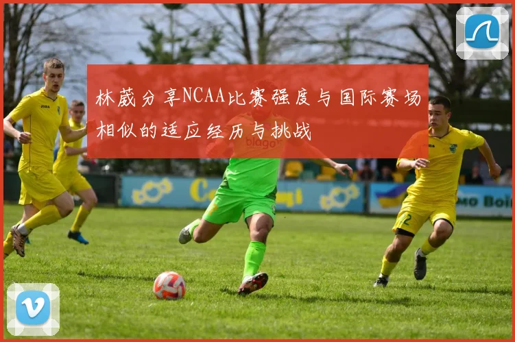 林葳分享NCAA比赛强度与国际赛场相似的适应经历与挑战