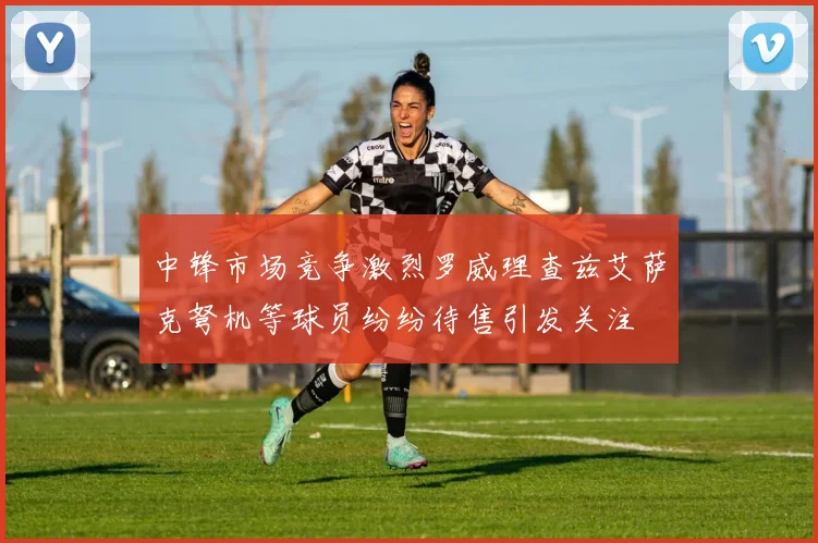 中锋市场竞争激烈罗威理查兹艾萨克弩机等球员纷纷待售引发关注